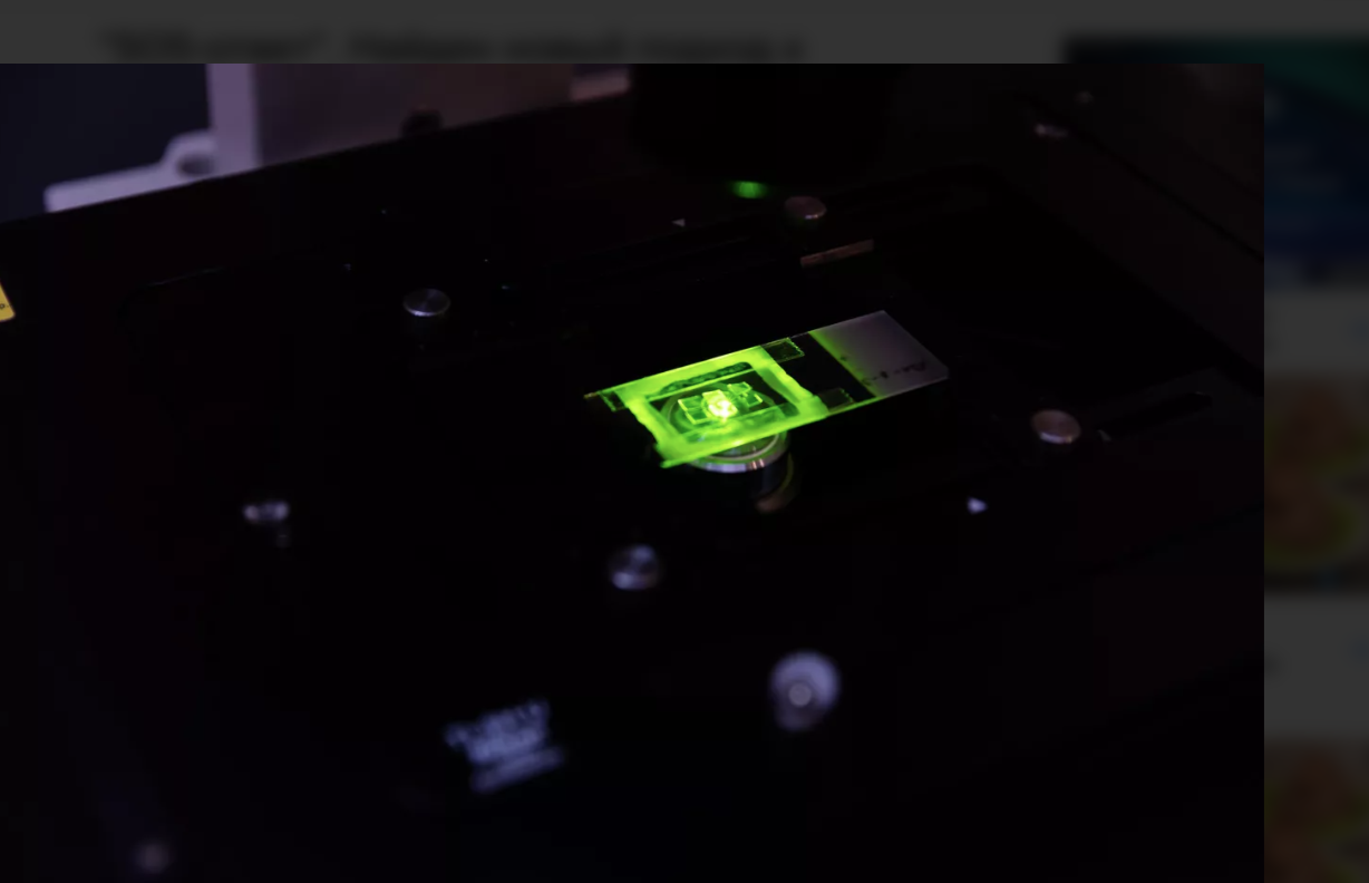 Image: "SOS-answer". A new approach to combating antibiotic resistance has been found