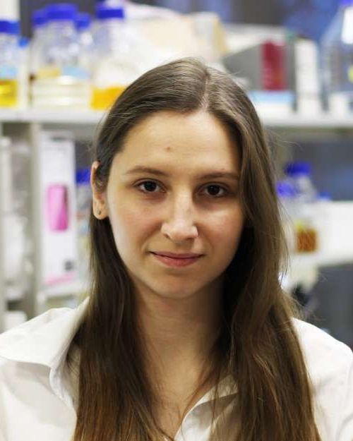 Дарья Антонова